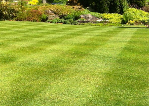 Commercial Grass Cutting in Poulsbo