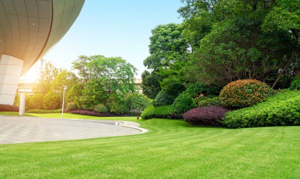 Commercial Lawn Mowing in Poulsbo