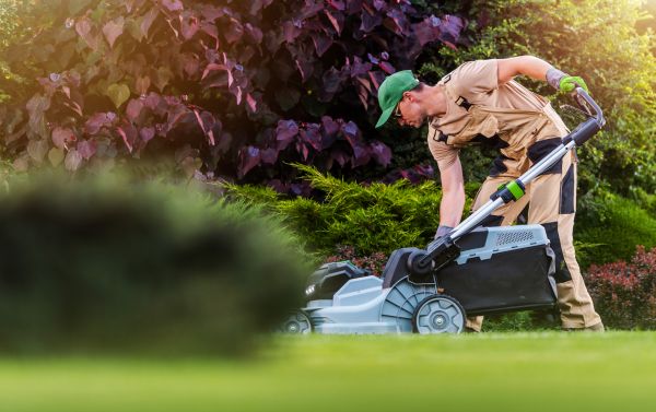 Lawn Care And Maintenance in Poulsbo