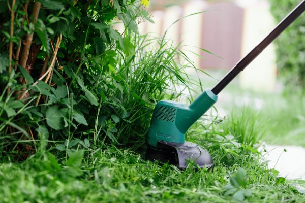 Weed Whacking in Poulsbo