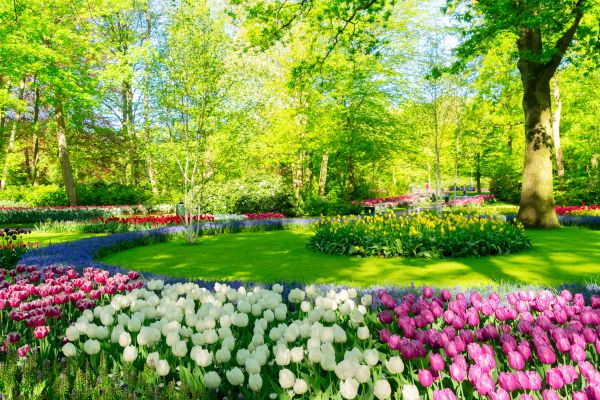 Spring Lawn Care in Poulsbo