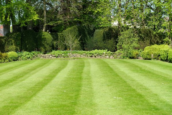 Grass Care Service in Poulsbo