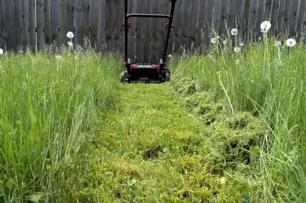 High Grass Mowing in Poulsbo
