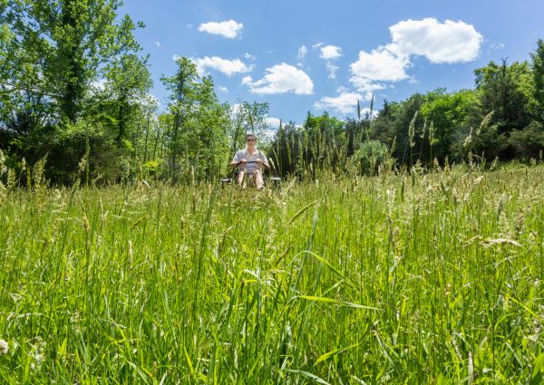 Long Grass Mowing in Poulsbo