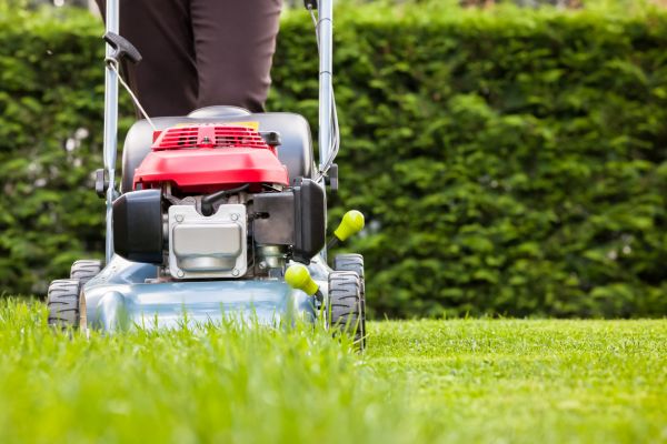 Grass Trimming Service in Poulsbo