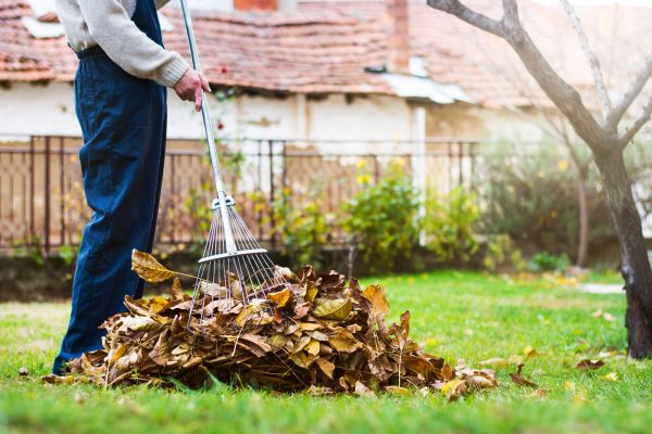 Routine Lawn Maintenance in Poulsbo