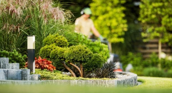 Residential Yard Maintenance in Poulsbo
