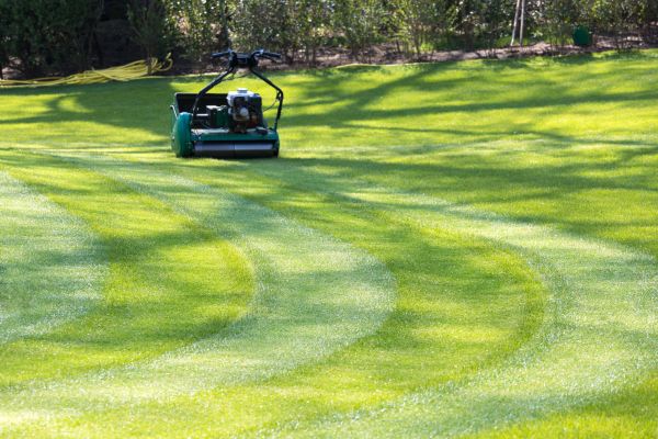 Business Lawn Mowing in Poulsbo