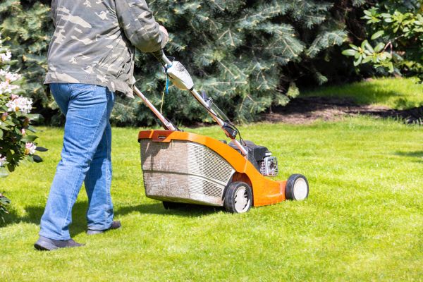 Springtime Lawn Care in Poulsbo