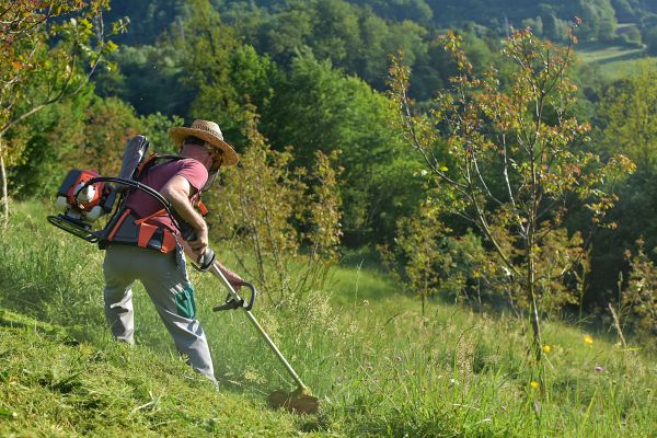Slope Mowing in Poulsbo