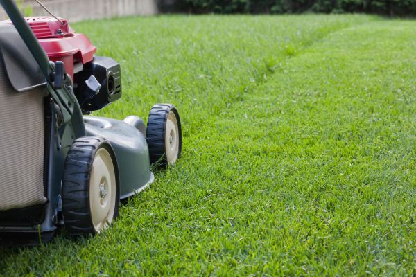 Spring Lawn Maintenance in Poulsbo