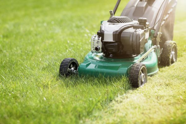 Spring Grass Trimming in Poulsbo
