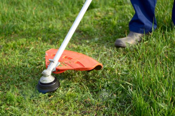 Lawn Weed Whacking in Poulsbo