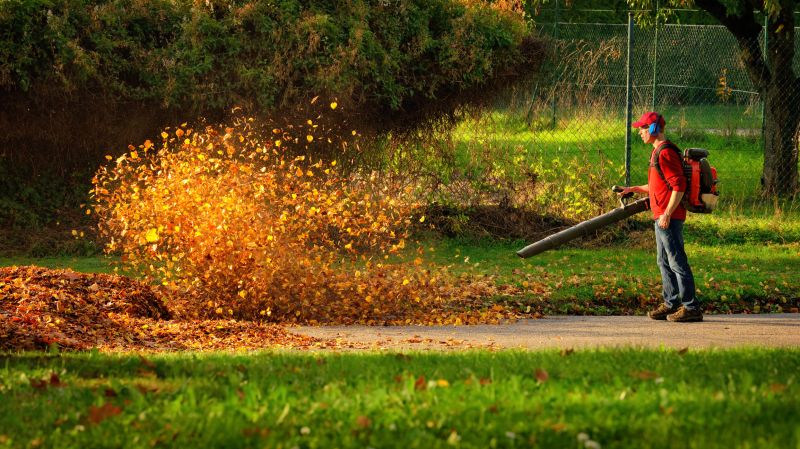 Professional Equipment for Leaf Clearing