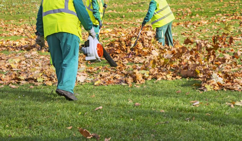 Professional Leaf Removal Equipment